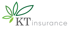 kt insurance logo
